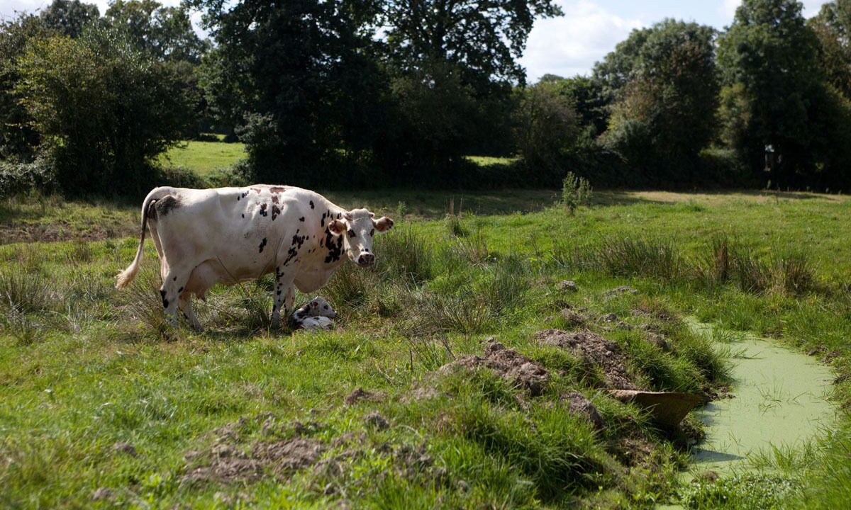 Photo of Outdoor in Cerisy-la-Salle
