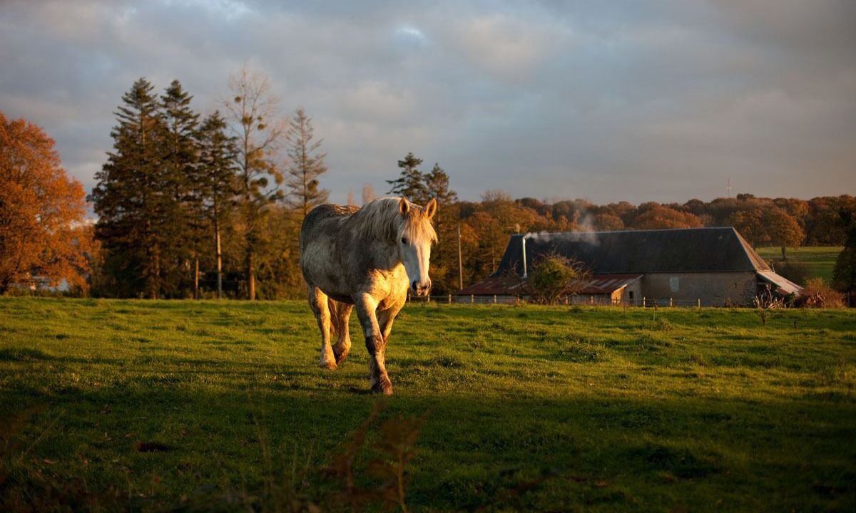Photo of Outdoor in Cerisy-la-Salle
