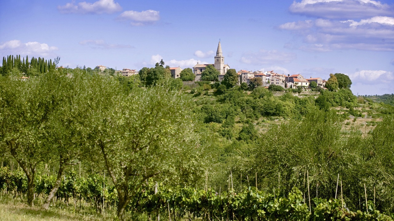 Photo of Others in Groznjan