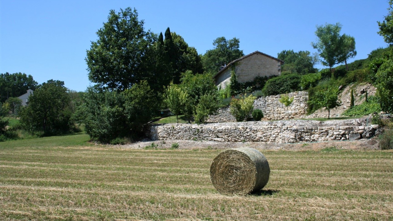 Photo of Others in Alos