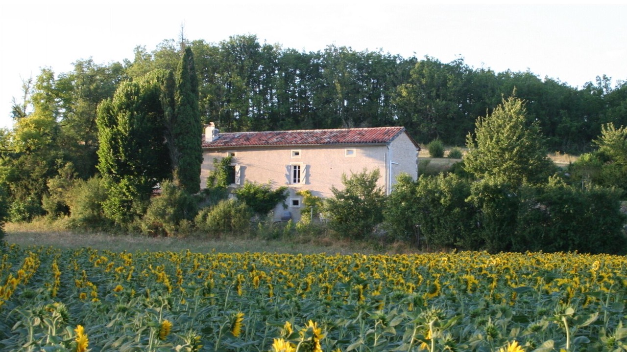 Photo of Others in Alos