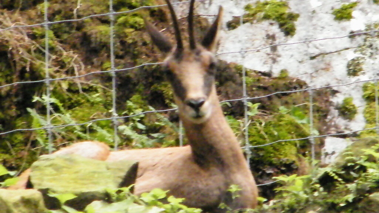 Photo of Outdoor in Guchen