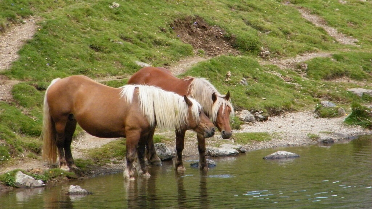 Photo of Others in Guchen