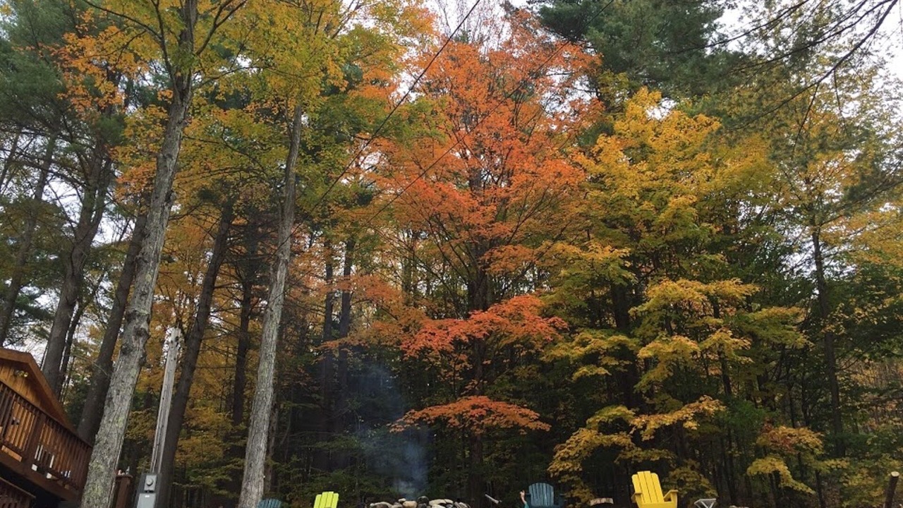 Photo of Outdoor in Day
