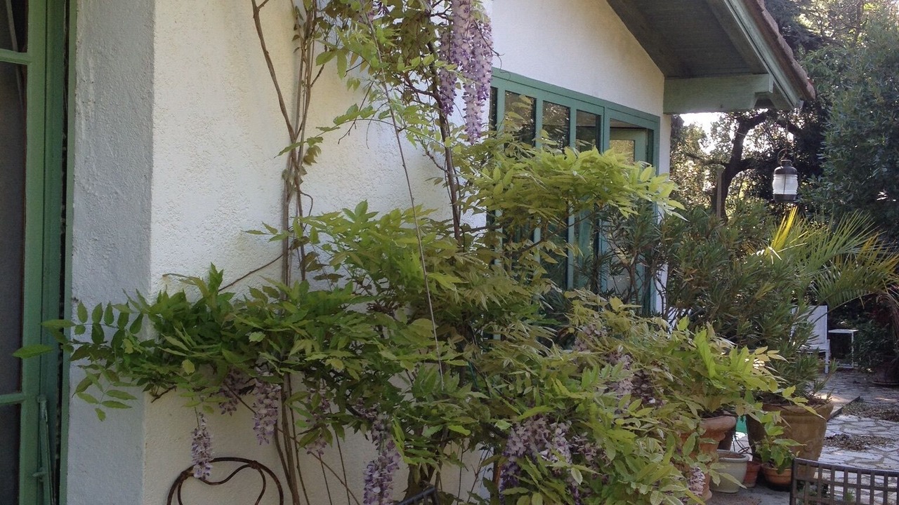 Photo of Outdoor in Castelnau-le-Lez
