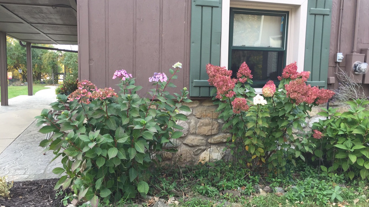 Photo of Others in Iowa Falls