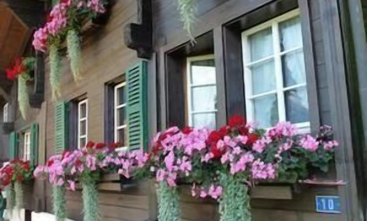 Photo of Others in Frutigen