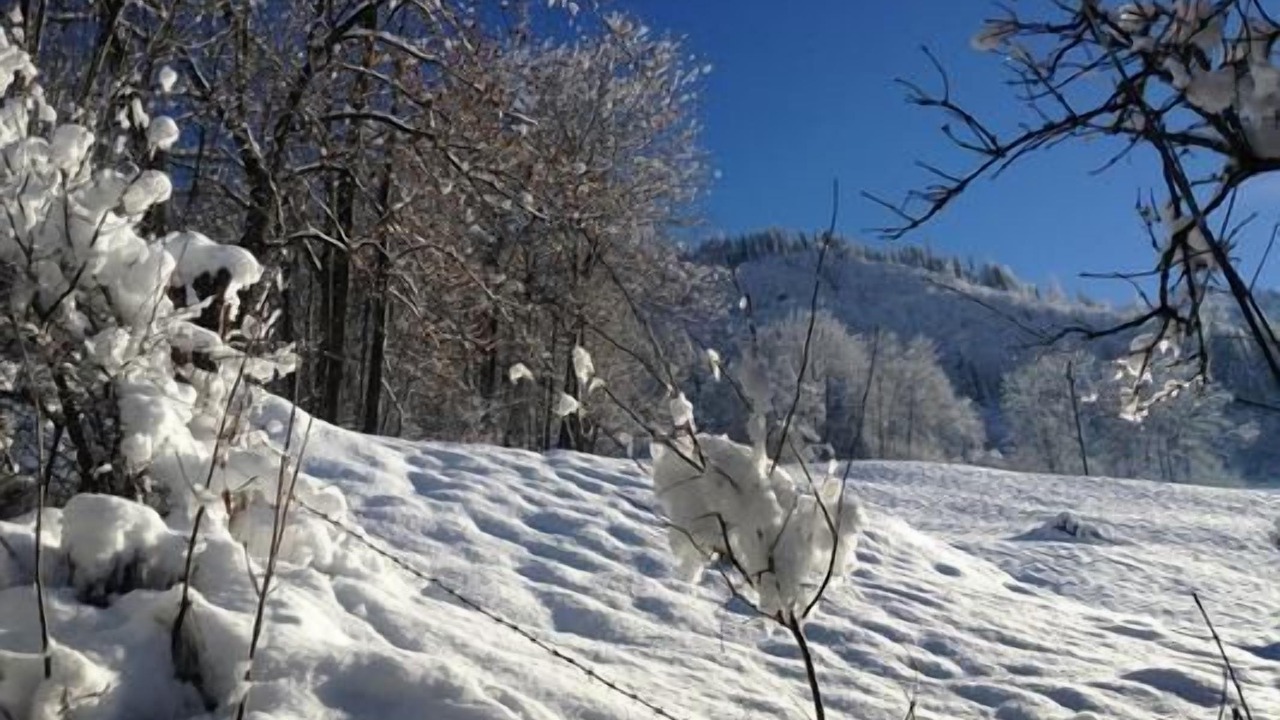 Photo of Others in Frutigen