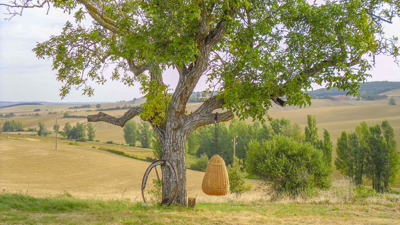 Photo of Outdoor in Beaumont-de-Lomagne