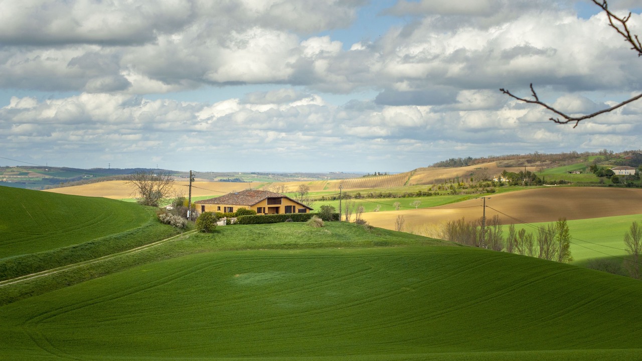 Photo of Others in Beaumont-de-Lomagne