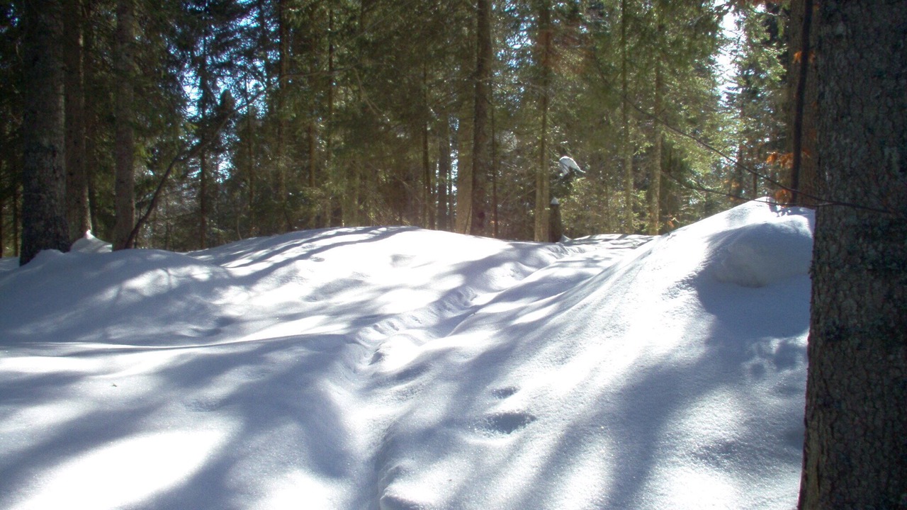 Photo of Outdoor in Le Solliat