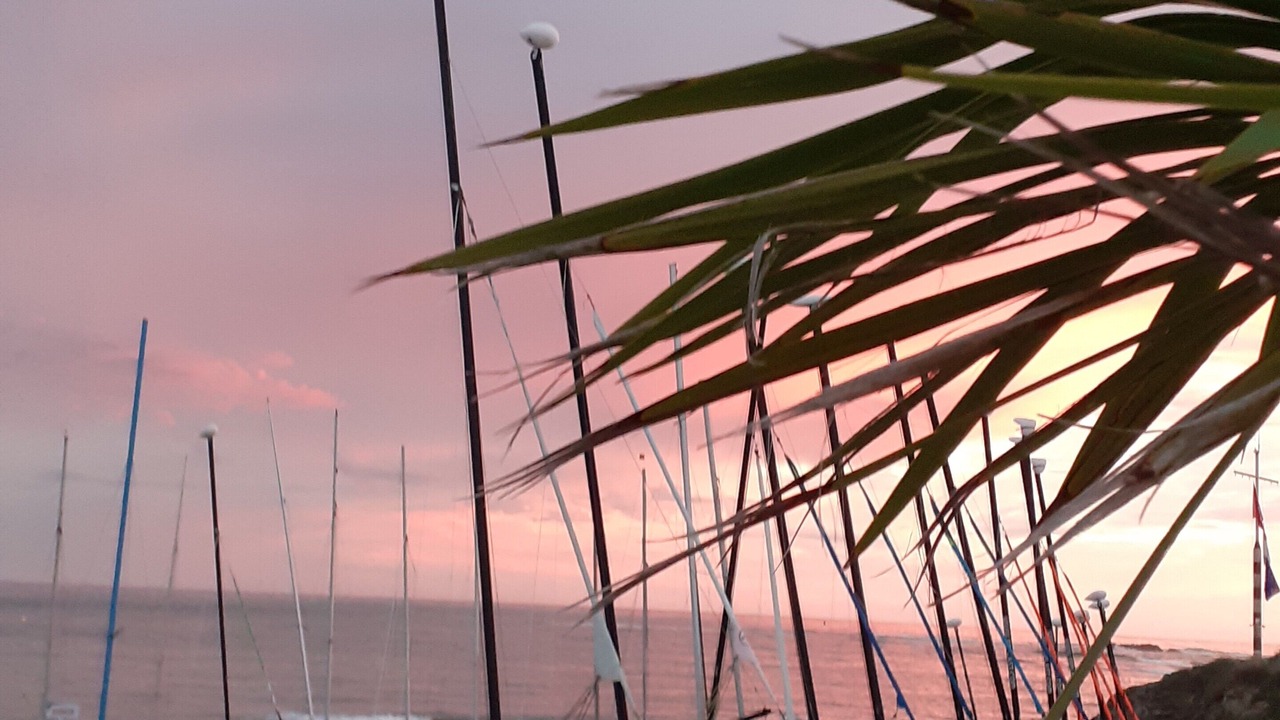 Photo of Others in Saint-Gilles-Croix-de-Vie