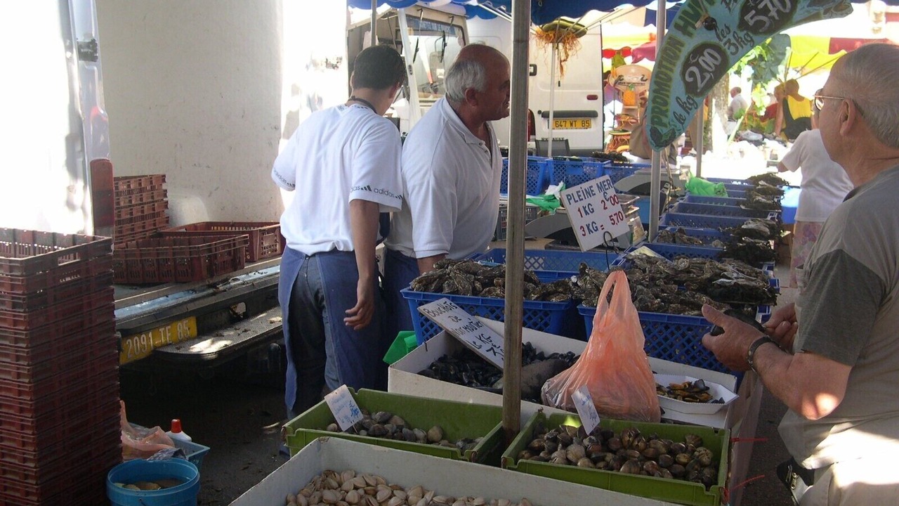 Photo of Outdoor in Saint-Gilles-Croix-de-Vie