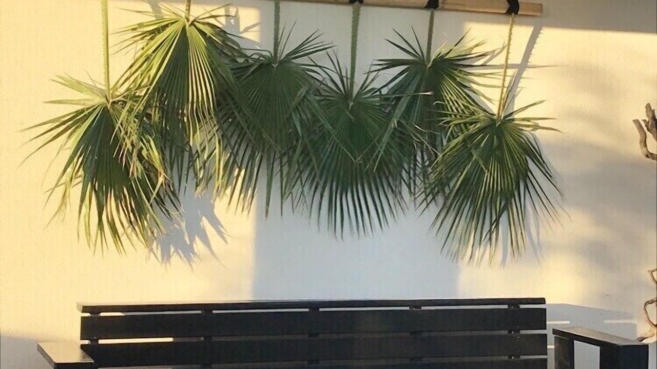 Photo of Outdoor in Cap d'Agde