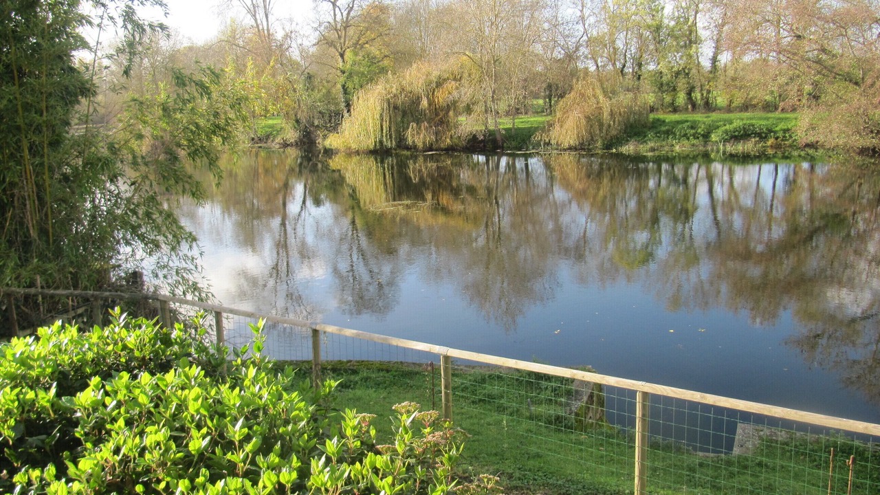 Photo of Outdoor in Saint-Martin-de-Sanzay