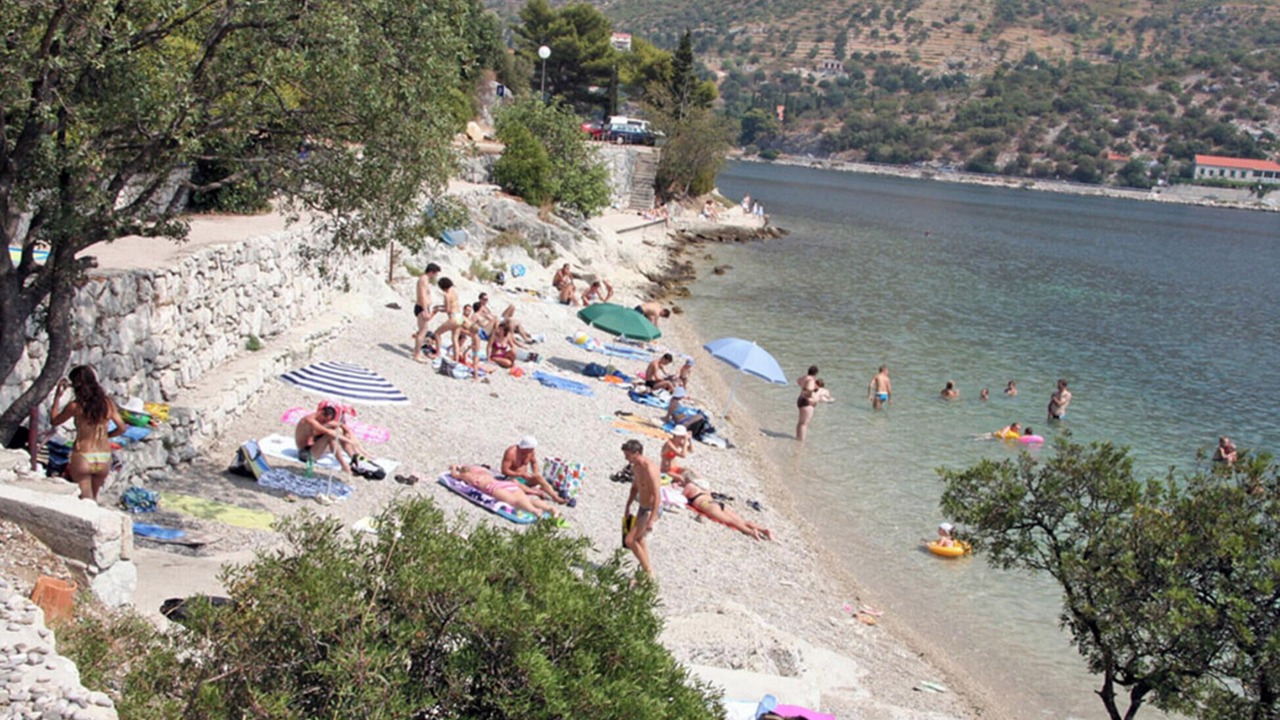 Photo of Others in Zaton