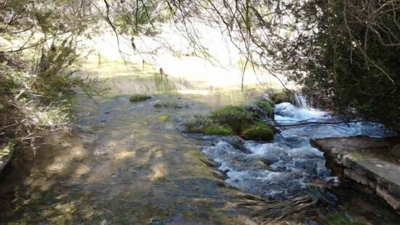 Photo of Outdoor in Las Majadas