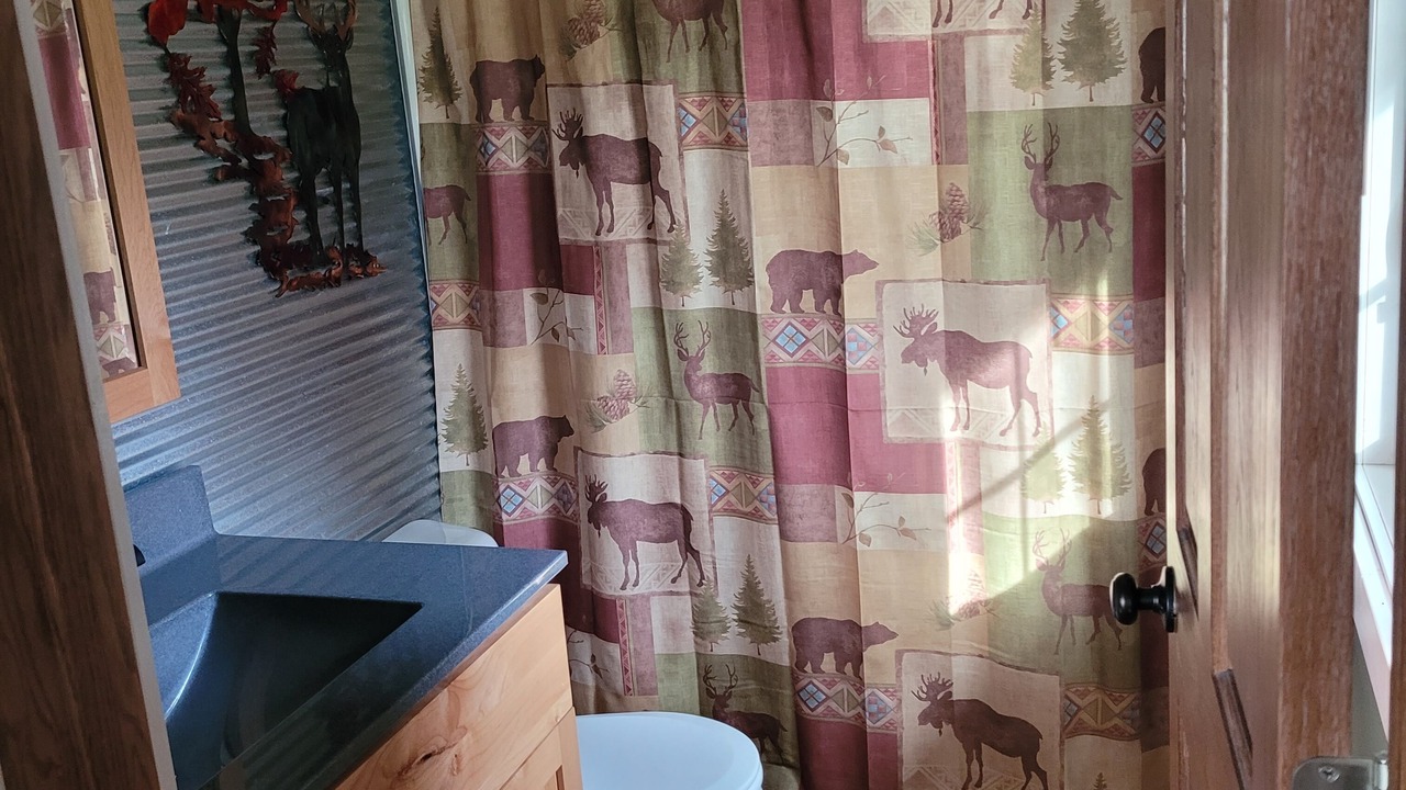 Photo of Bathroom in Galt