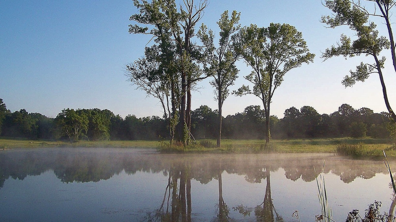 Photo of Others in Mount Juliet