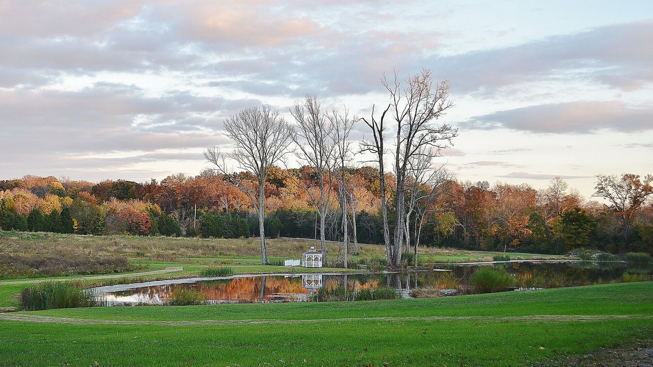 Photo of Others in Mount Juliet
