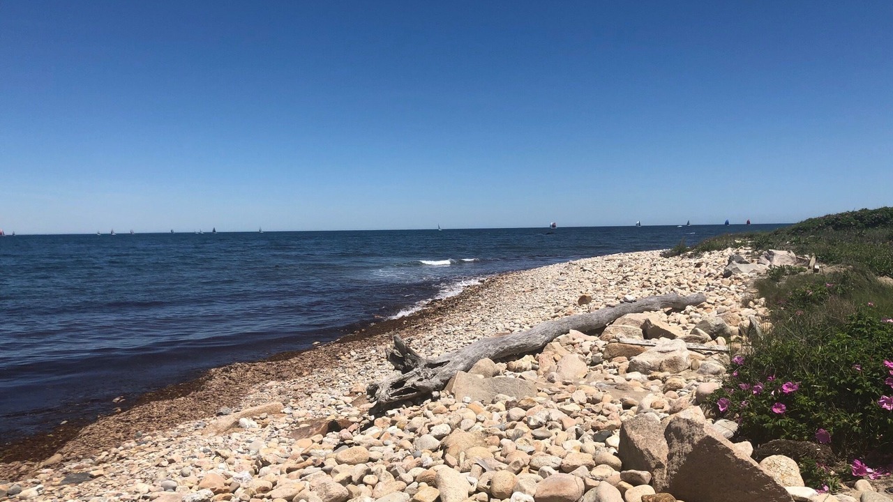 Photo of Others in New Shoreham