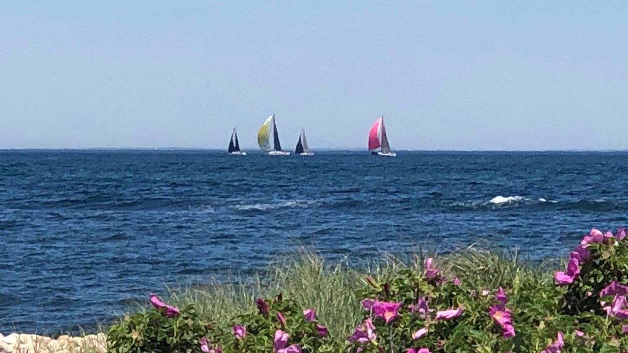 Photo of Others in New Shoreham