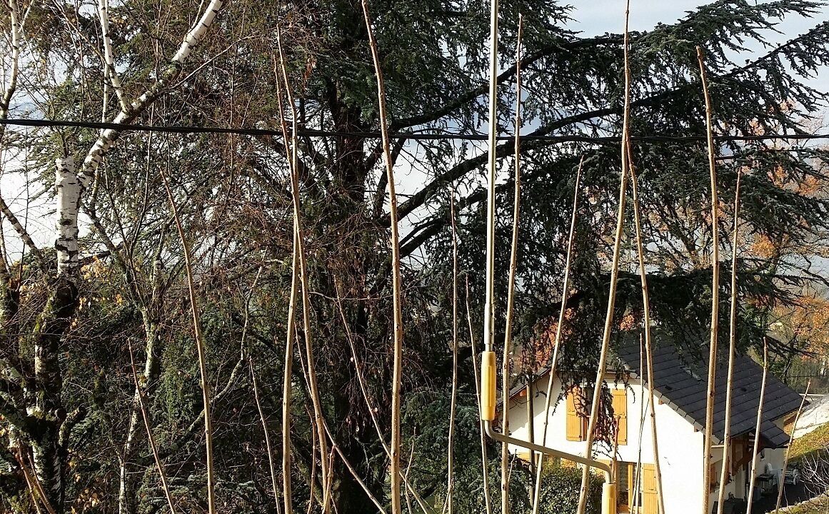 Photo of Outdoor in Mouxy