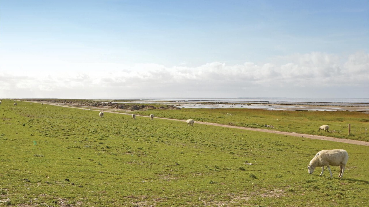 Photo of Others in Hojer