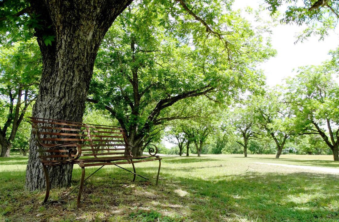 Photo of Outdoor in Comfort