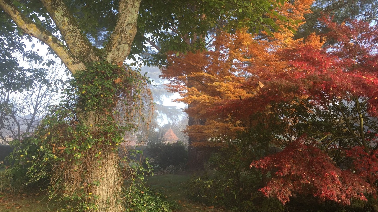 Photo of Outdoor in Saint-Seurin-de-Prats