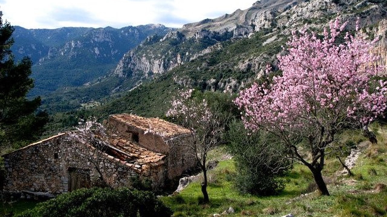 Photo of Outdoor in El Perello