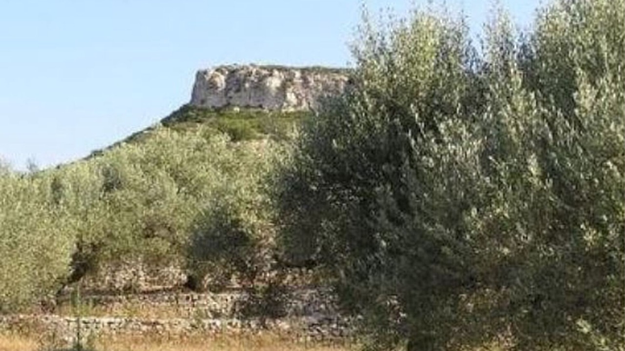 Photo of Outdoor in El Perello