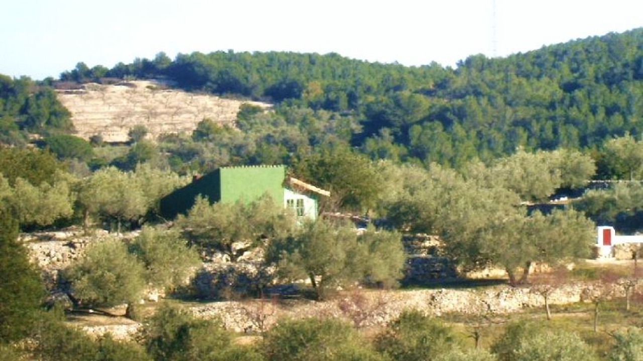Photo of Outdoor in El Perello