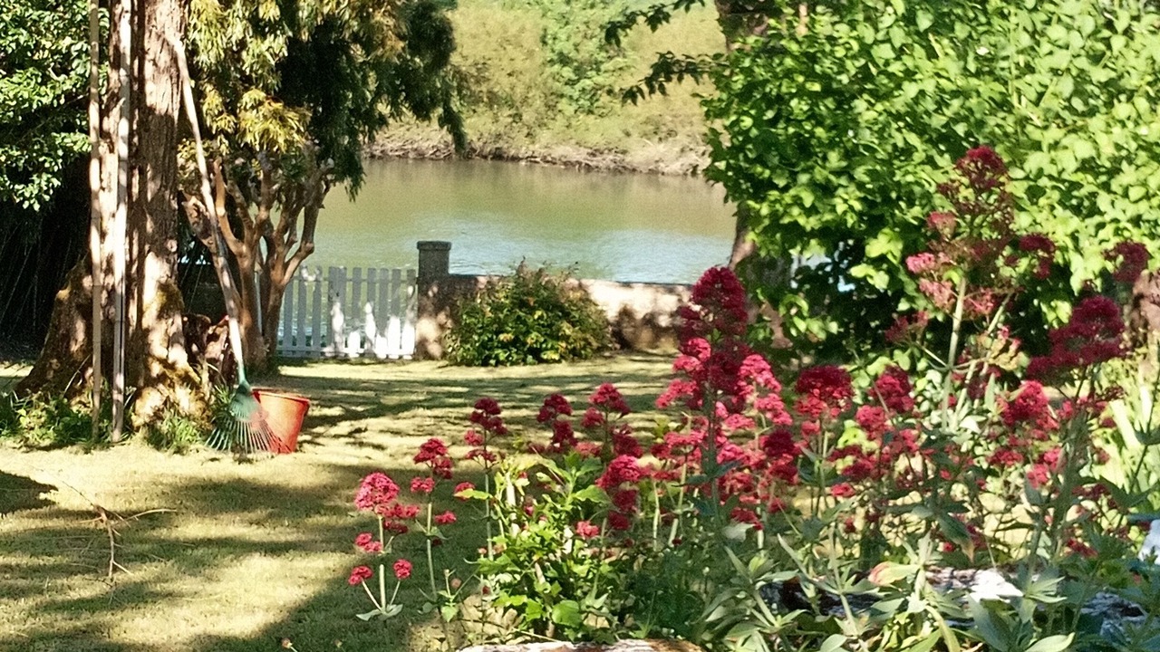 Photo of Outdoor in Port-d'Envaux