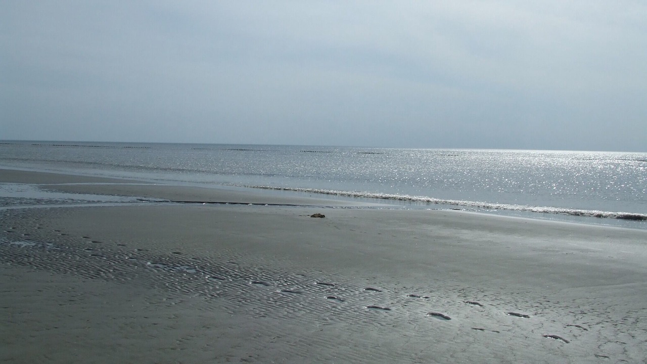 Photo of Others in Crecy-en-Ponthieu