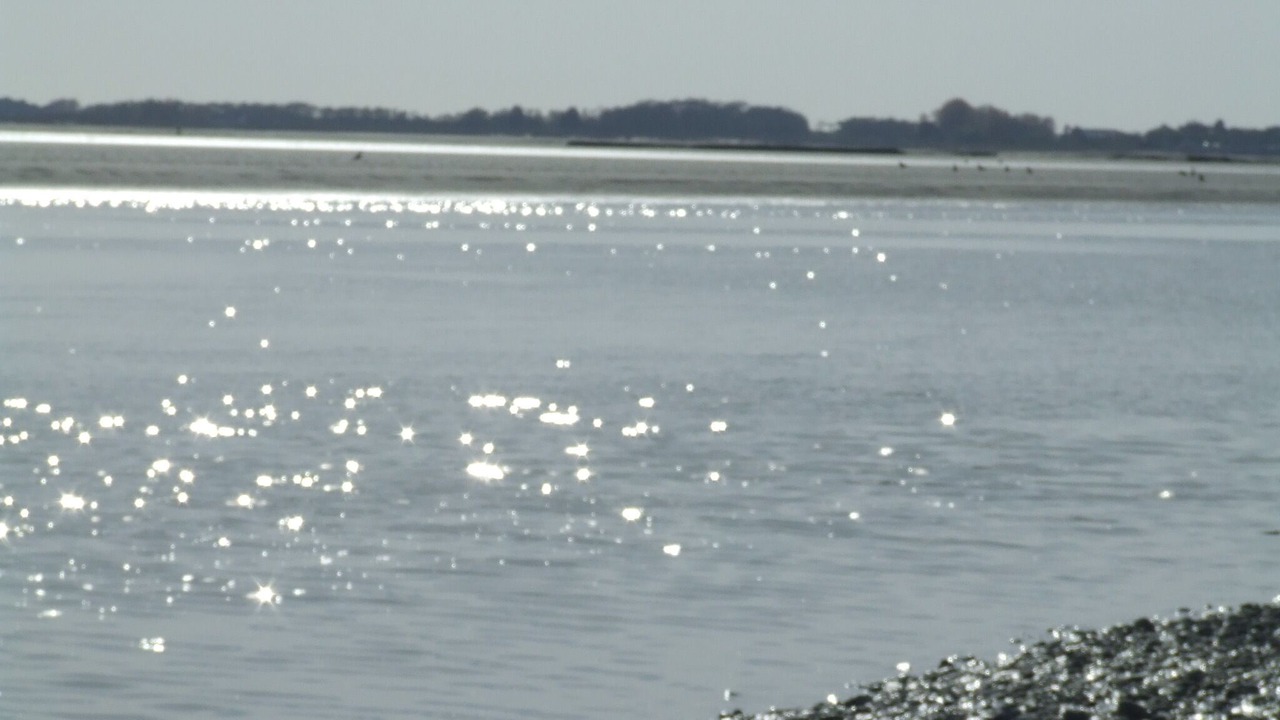 Photo of Others in Crecy-en-Ponthieu