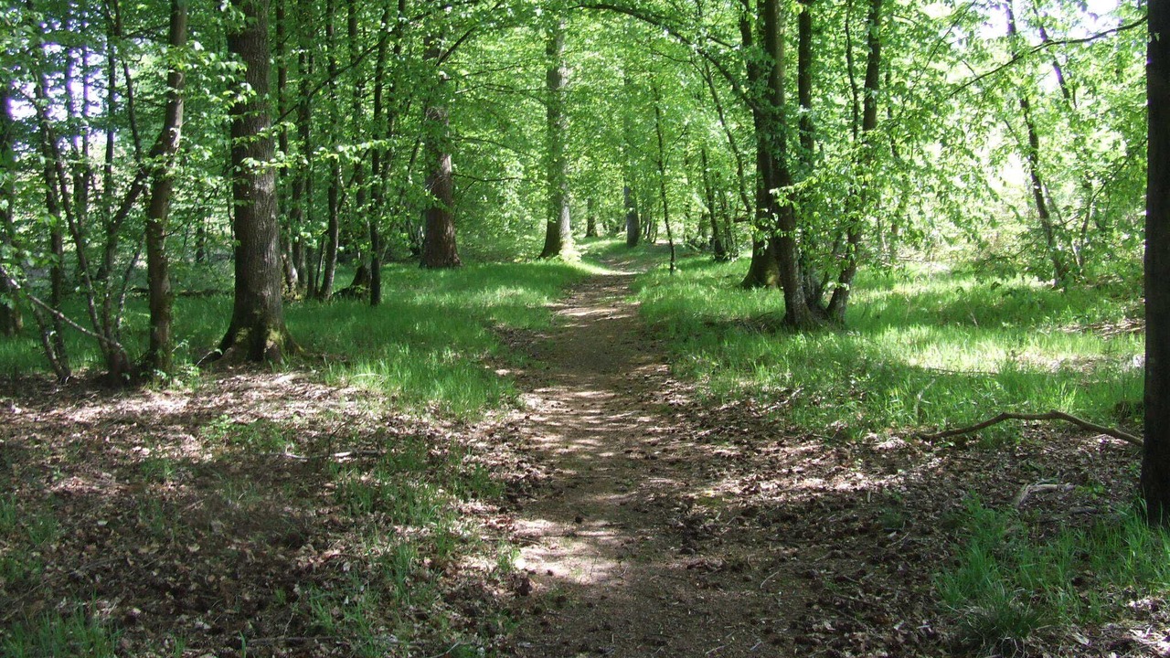 Photo of Outdoor in Crecy-en-Ponthieu