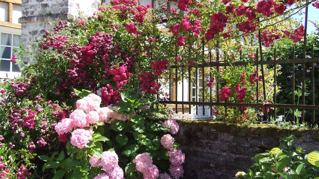 Photo of Outdoor in Crecy-en-Ponthieu
