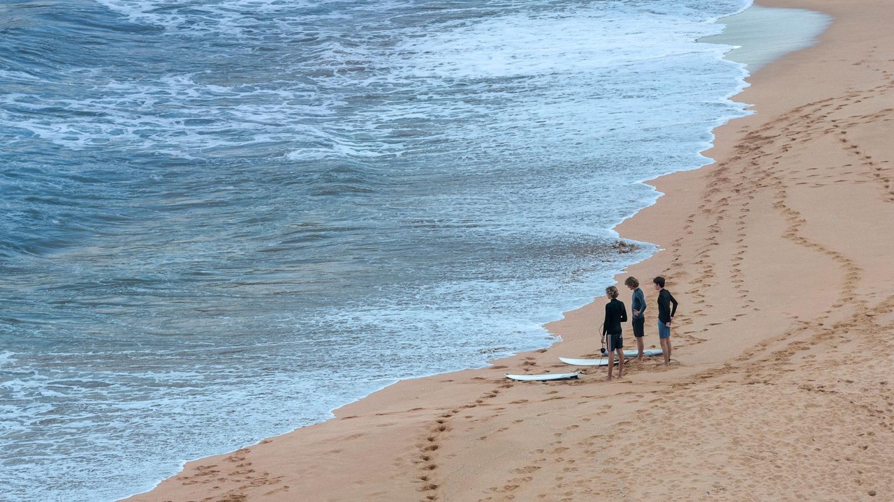 Photo of Others in Whale Beach