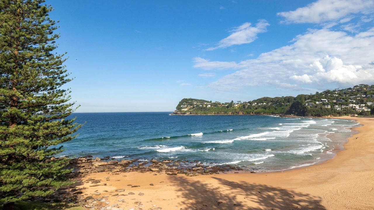 Photo of Others in Whale Beach