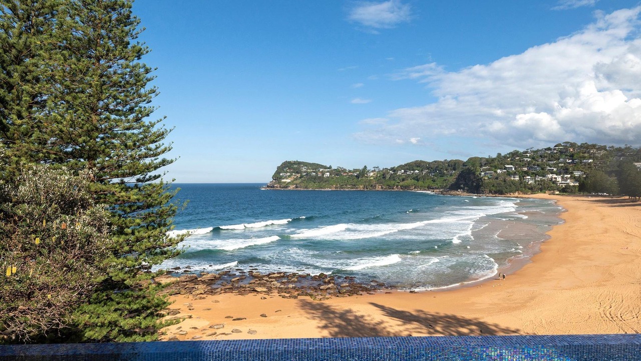 Photo of Others in Whale Beach