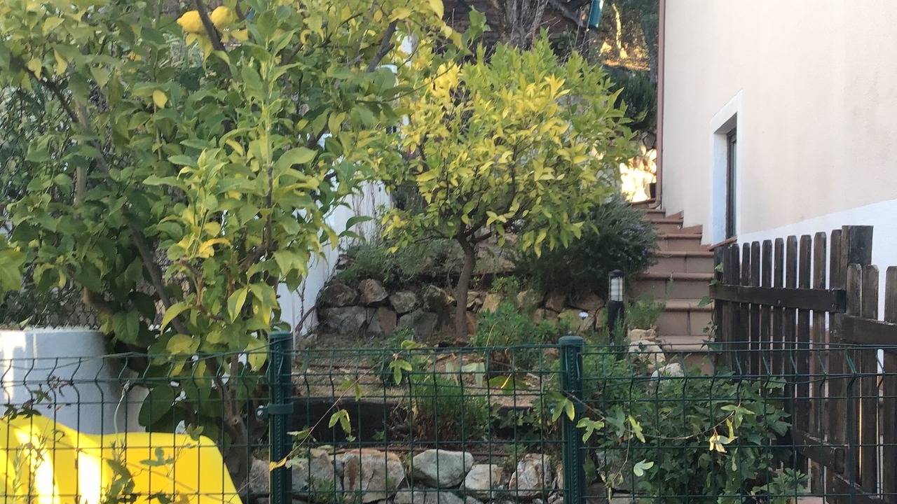 Photo of Outdoor in Santa Cristina de Aro