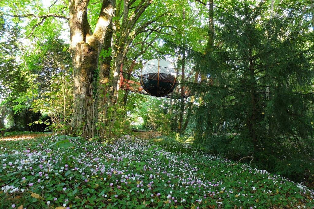 Photo of Outdoor in Fondettes