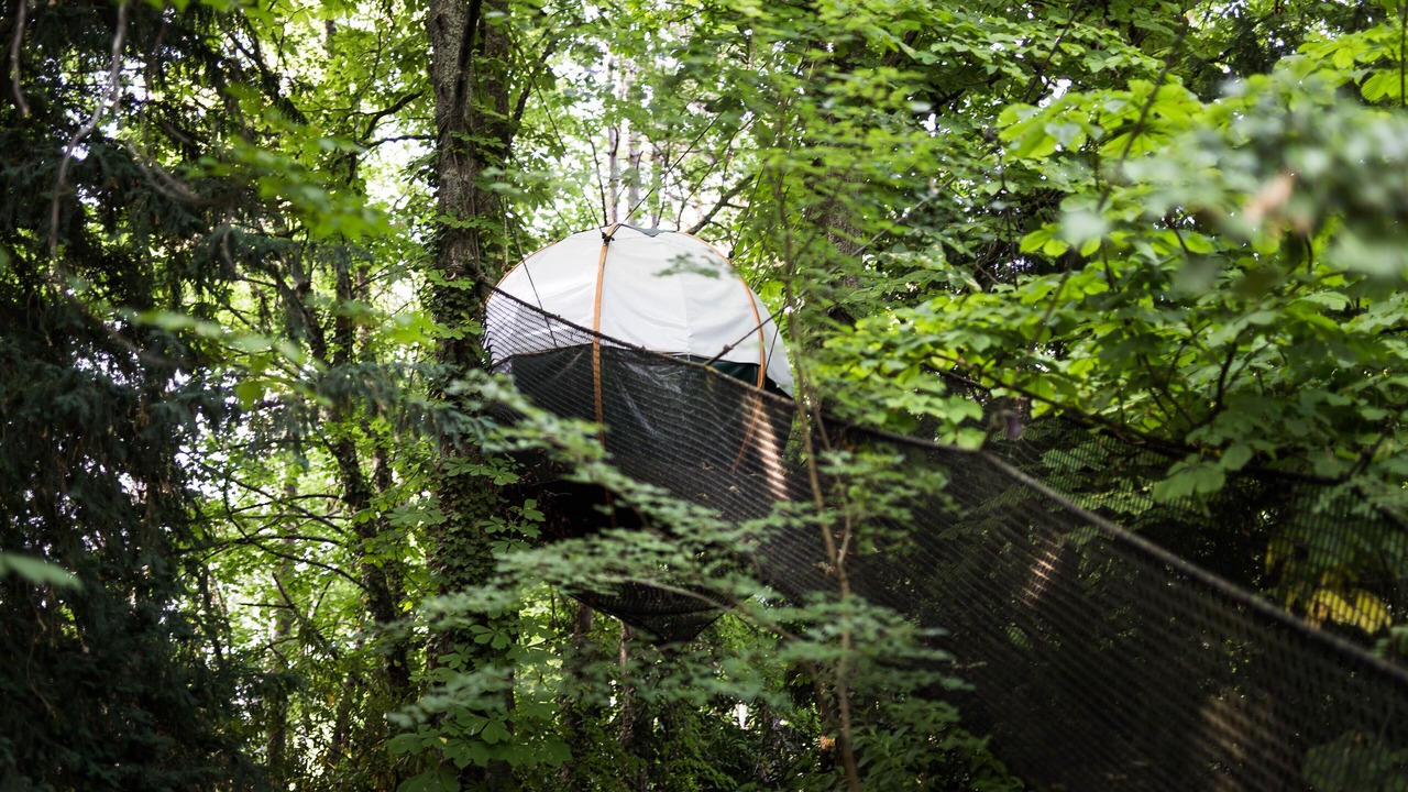 Photo of Outdoor in Fondettes