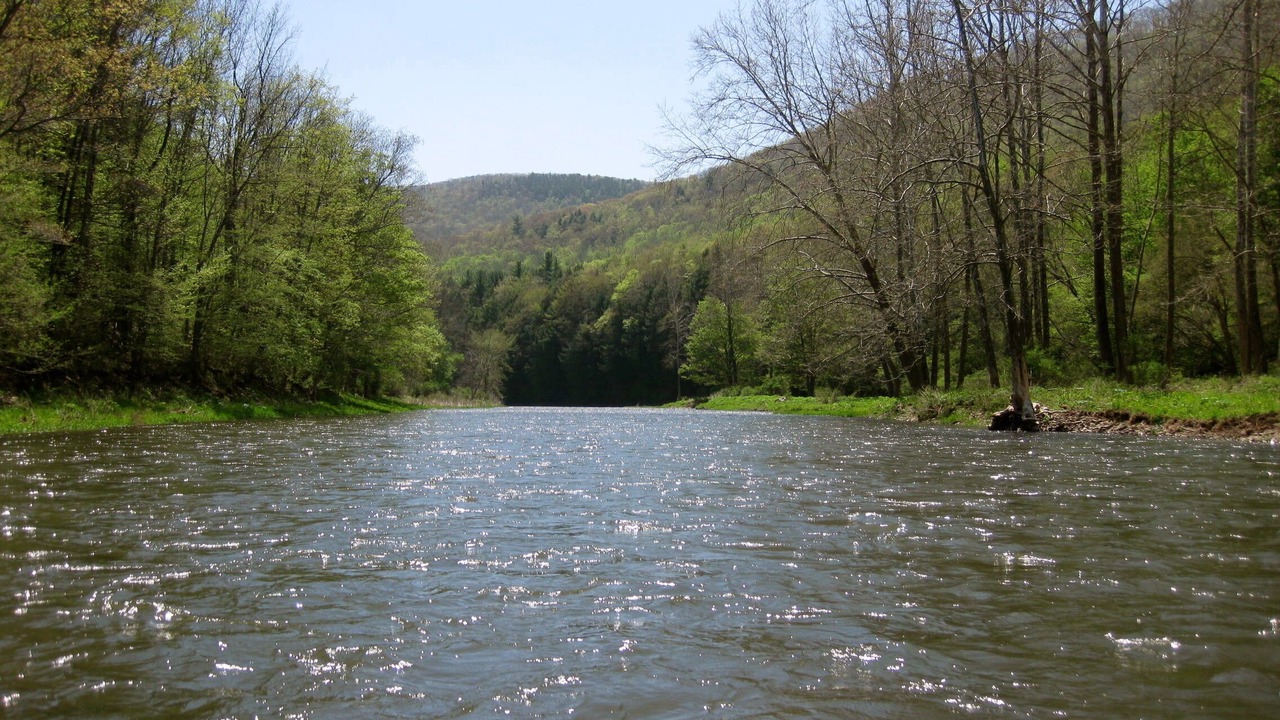 Photo of Others in Sabinsville