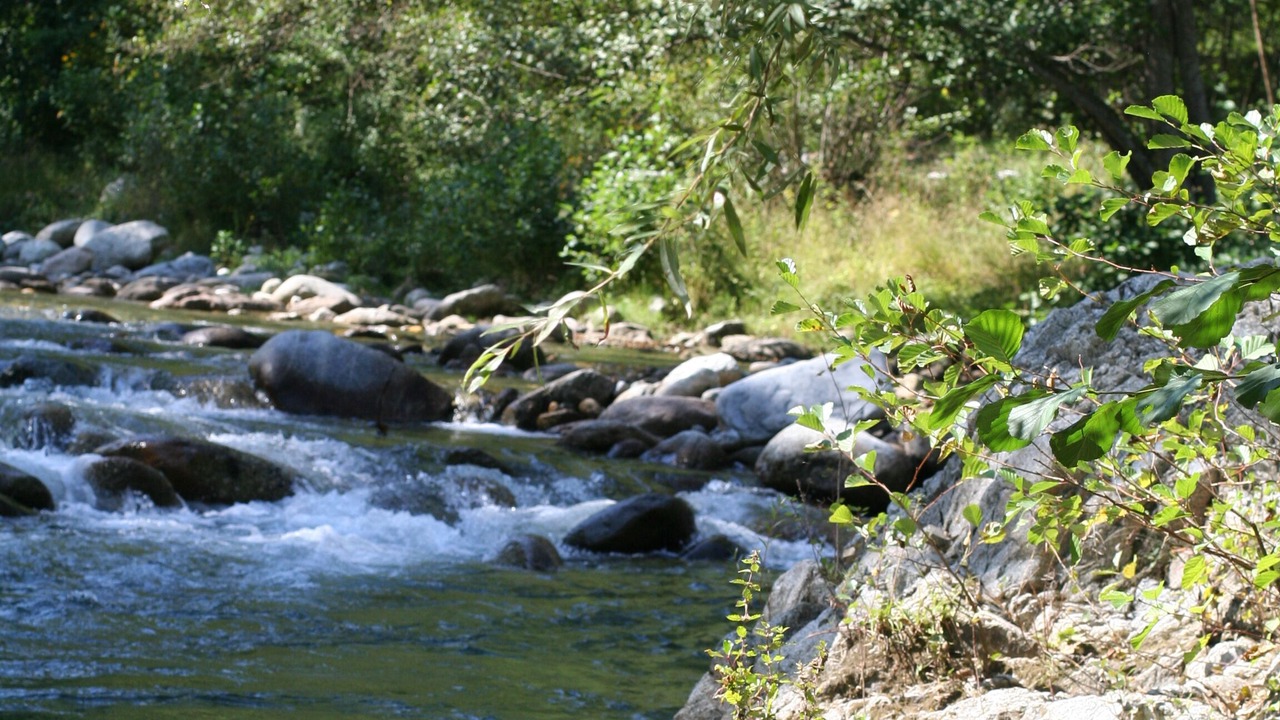 Photo of Outdoor in Montferrer