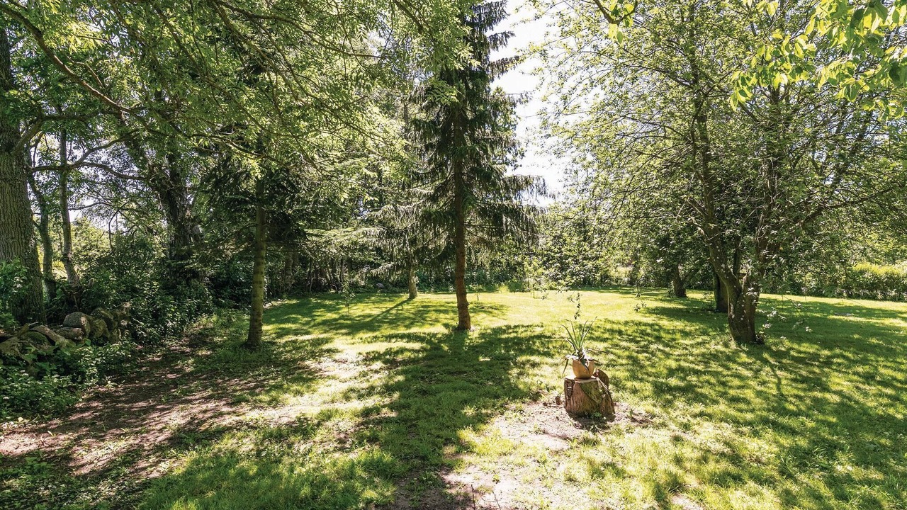 Photo of Others in Nexø