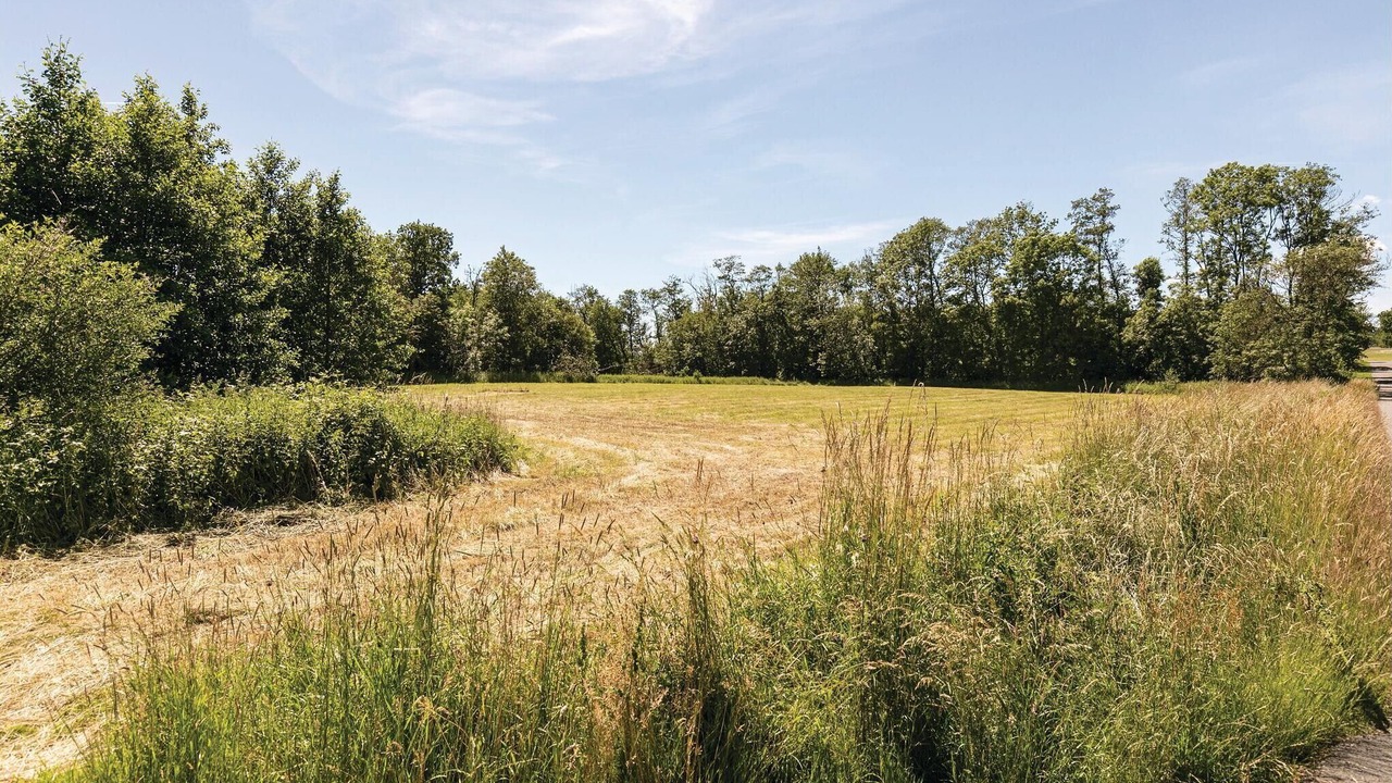 Photo of Others in Nexø