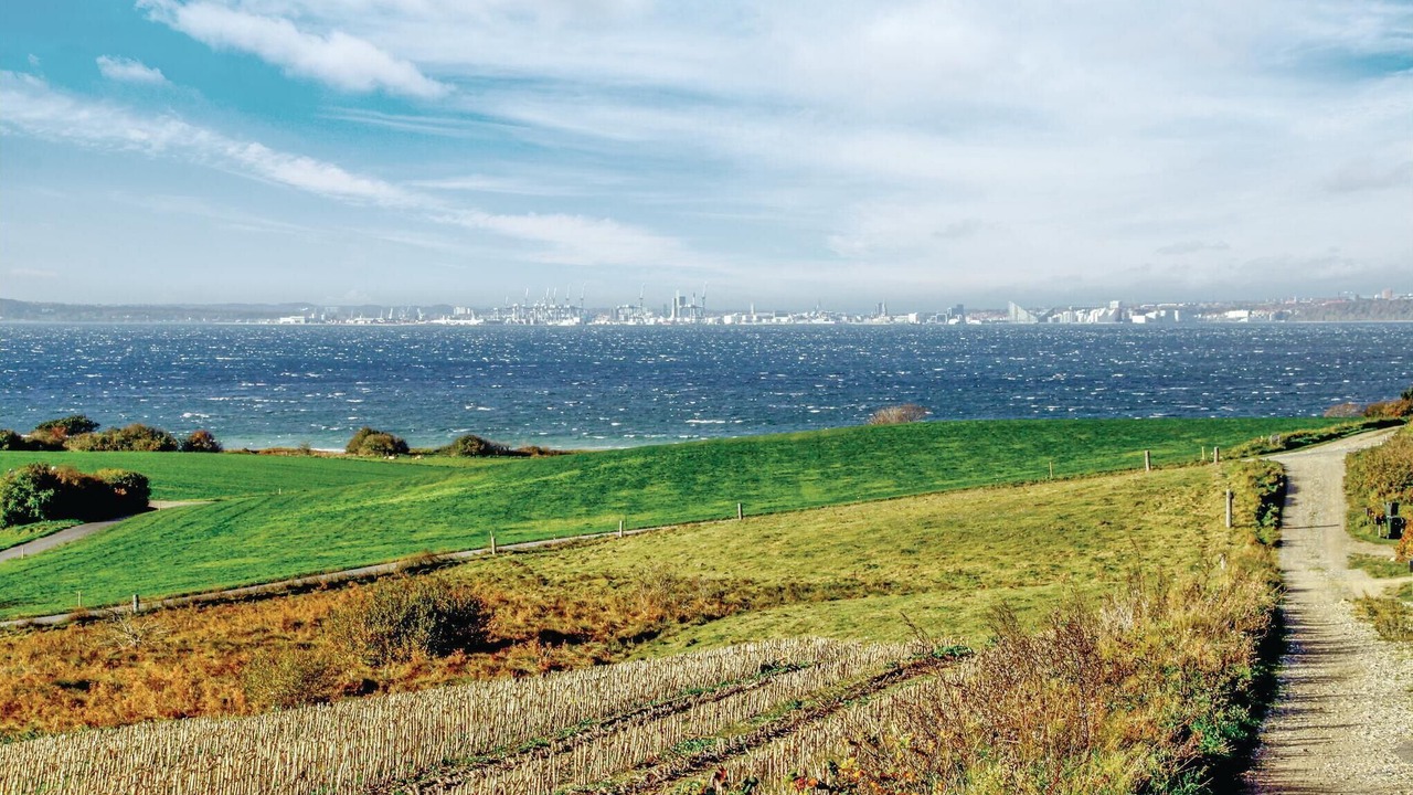Photo of Others in Skødshoved Strand