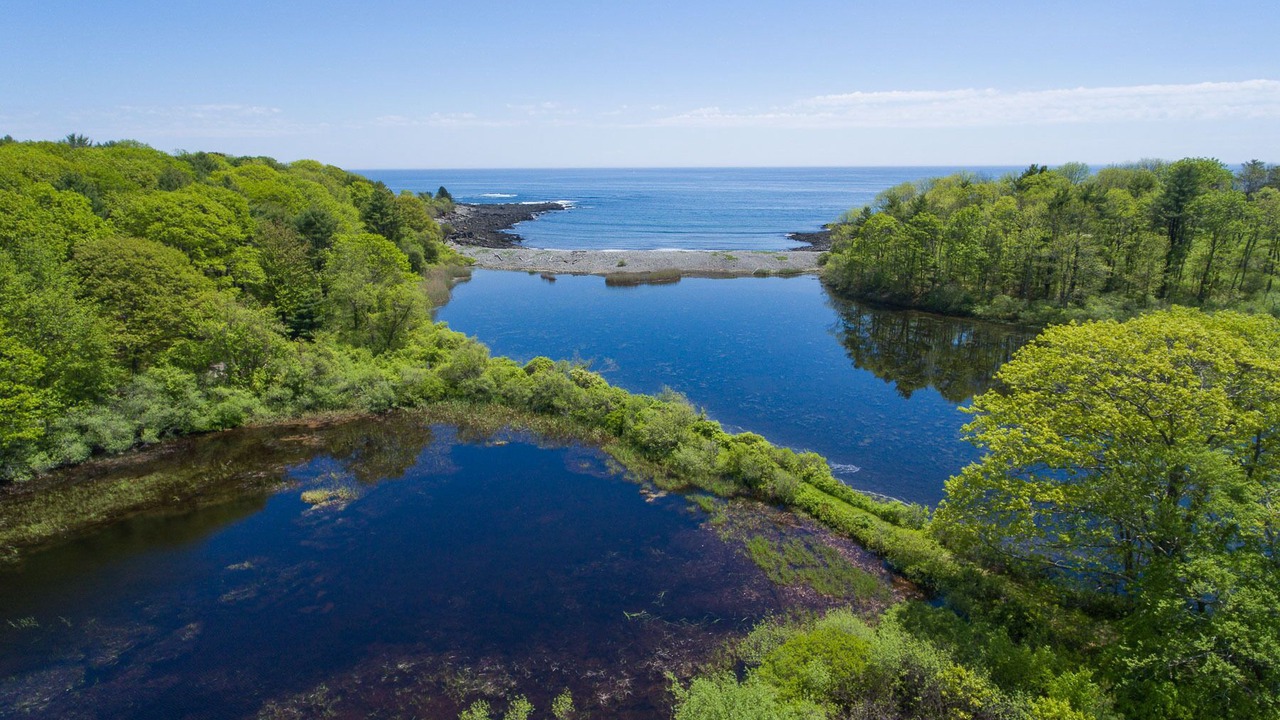 Photo of Others in York